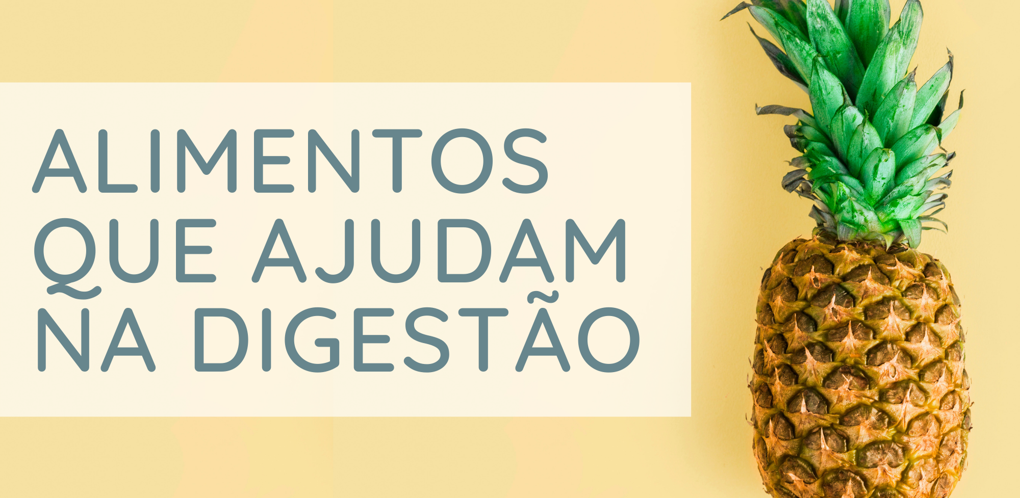 Alimentos que ajudam na digestão