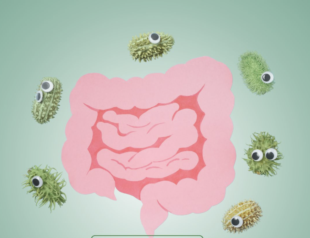 Intestino preso, cansaço, pele ruim? Pode ser a sua microbiota!